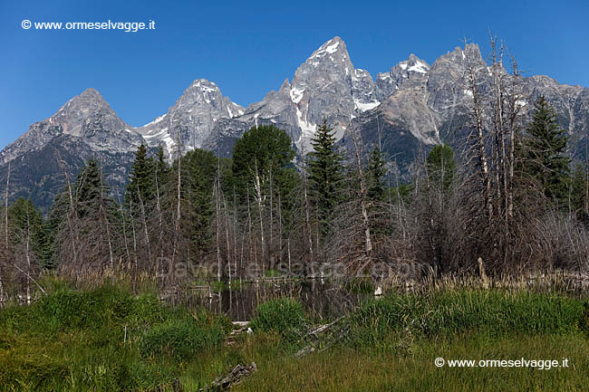 011A Schwabacher landing IMG 0084